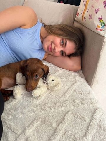 3 Monate alter Dackel sucht ein liebevolles Zuhause 🐾💛