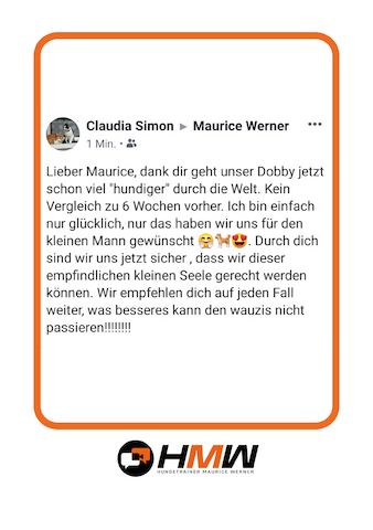 Professionelles Hundetraining – Persönlich oder auch via Video