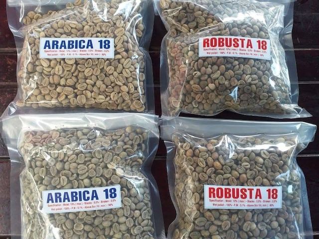 Hochwertige Arabica- & Robusta-Kaffeebohnen aus Kenia für den Export