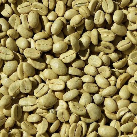 Hochwertige Arabica- & Robusta-Kaffeebohnen aus Kenia für den Export