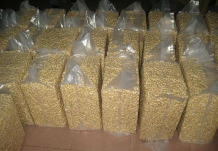 Rohe und geröstete Cashewnüsse aus Kenia zum Verkauf (für den Export).