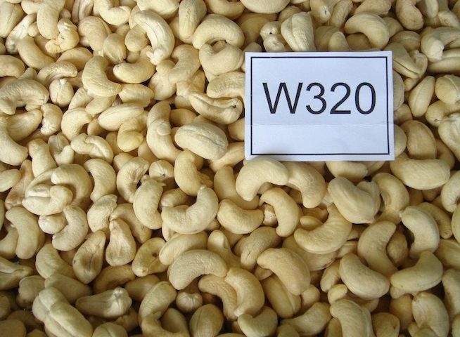 Rohe und geröstete Cashewnüsse aus Kenia zum Verkauf (für den Export).