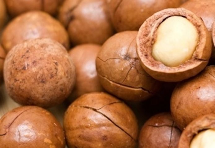 Hochwertige Macadamianüsse – mit und ohne Schale – zu verkaufen.