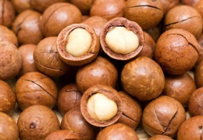 Hochwertige Macadamianüsse – mit und ohne Schale – zu verkaufen.