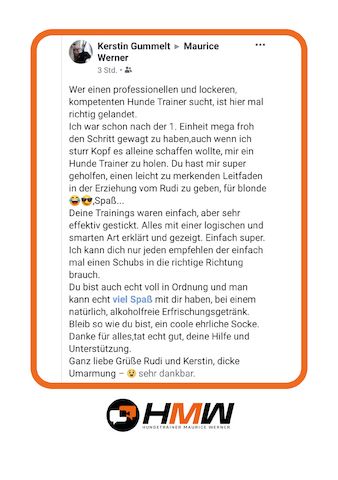 Professionelles Hundetraining – Persönlich oder auch via Video