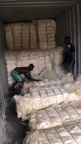 Sisal-Fasern in Kenia zu verkaufen