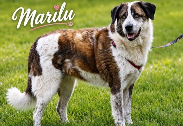 Marilu - voller Liebe
