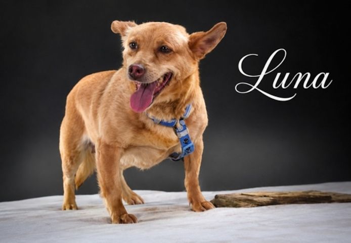 Luna - Dame in den besten Jahren