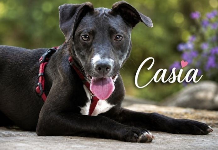 Casia - kleine Entdeckerin