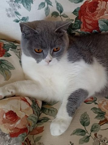Ein Herzensplatz für unsere „Trudy“ gesucht
