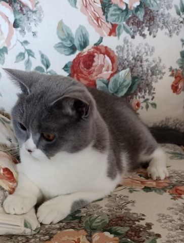 Ein Herzensplatz für unsere „Trudy“ gesucht