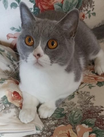 Ein Herzensplatz für unsere „Trudy“ gesucht
