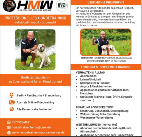 Professionelles Hundetraining via Video oder Persönlich