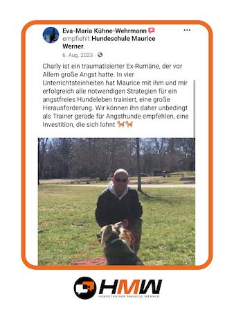 Professionelles Hundetraining via Video oder Persönlich