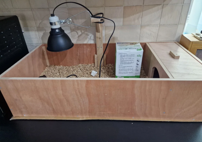Junge Steppenschildkröten mit komplettem Zubehör zu verkaufen.