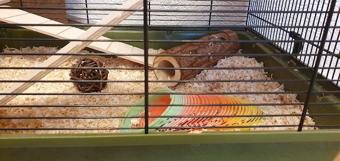 Käfig für Zwerghamster Hamster Kleintier mit Zubehör