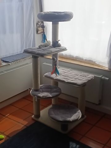 Zaubehafte Zoeey sucht Liebevolles Zuhause