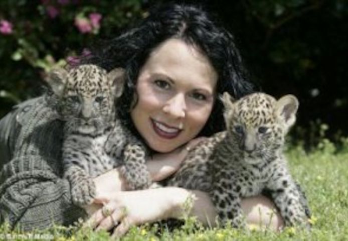Tiger- und Löwenbabys zu verkaufen