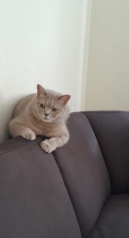 BKH-KATER