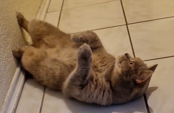 BKH-KATER