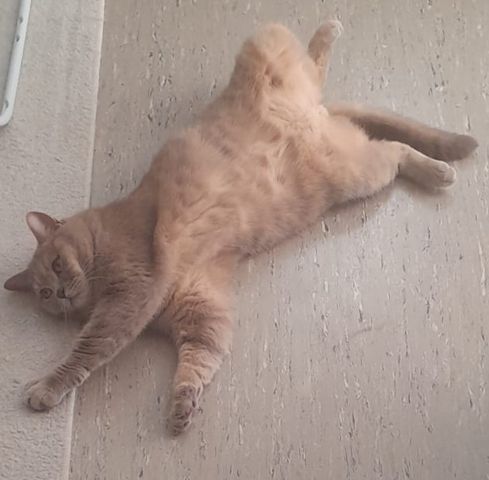 BKH-KATER
