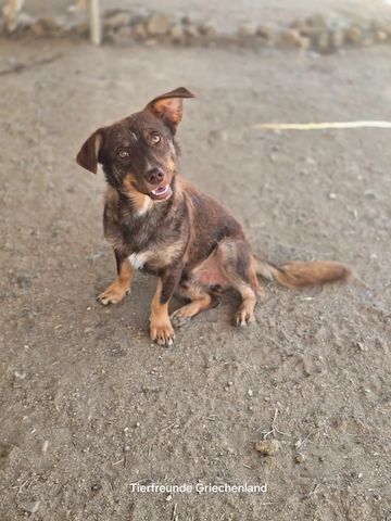 Sancho