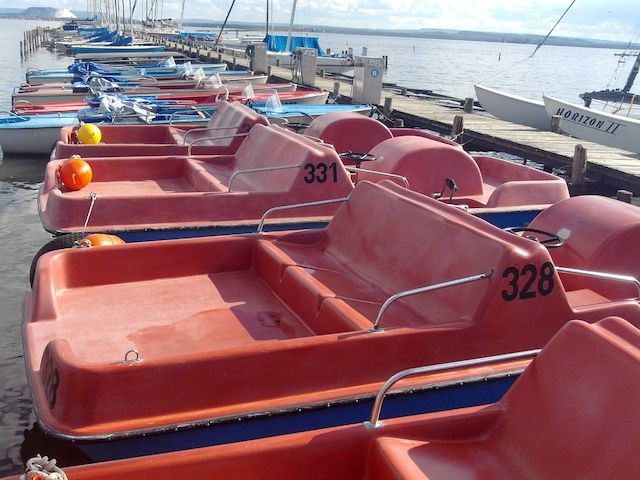 3 Std. Tretboot fahren auf dem Steinhuder Meer in Mardorf