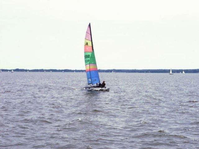 3 Std. Hobie Cat 16 segeln auf dem Steinhuder Meer in Mardorf