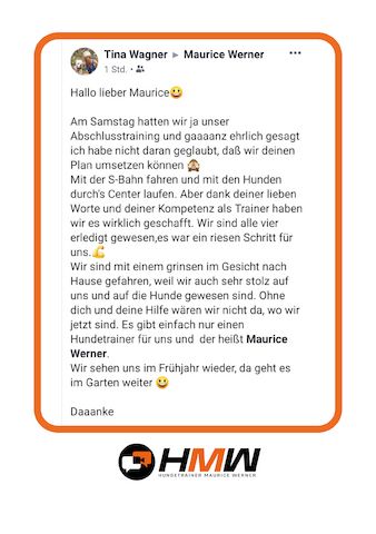 Professionelles Hundetraining – Persönlich oder auch via Video