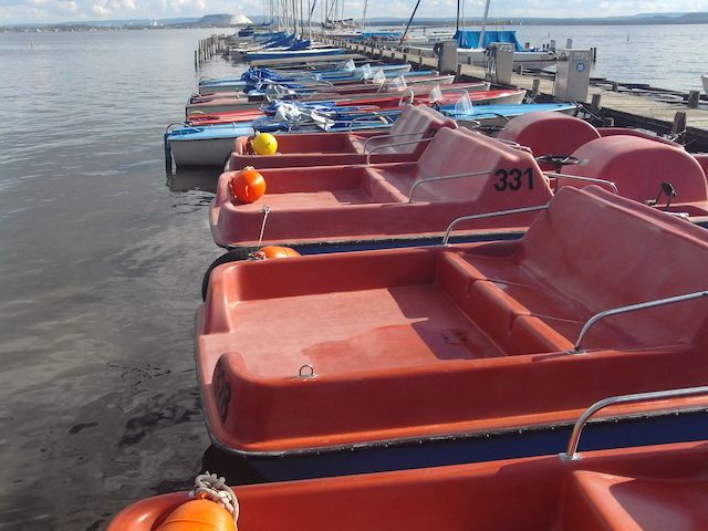 1 Std. Tretboot fahren auf dem Steinhuder Meer in Mardorf