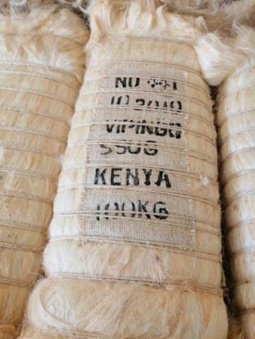 Sisalfasern aus Kenia für den Export.