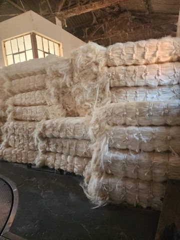 Sisalfasern aus Kenia für den Export.