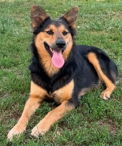 Nala - hat einen bezaubernden Charakter