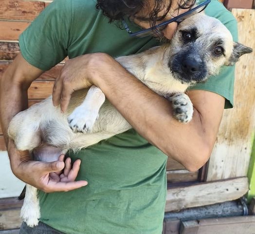 Ruby - meine Schwester hat bereits ein Zuhause