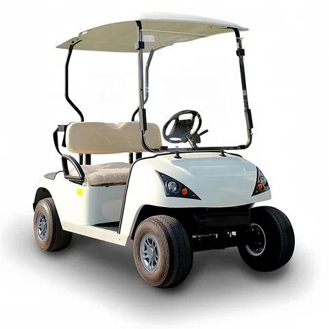 Hochwertiges elektrisches Luxus-Golfcart (2-Sitzer) im Angebot