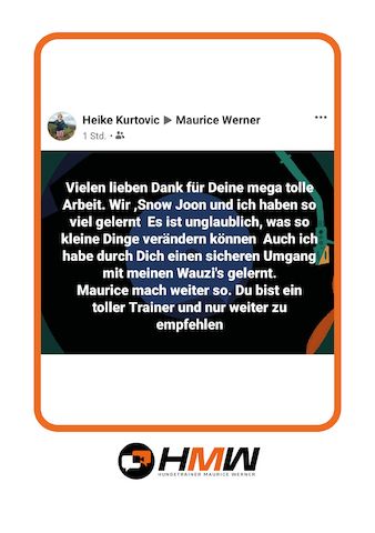 Professionelles Hundetraining – Persönlich oder auch via Video
