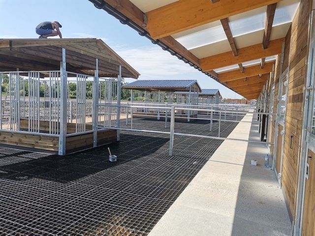 Heuraufe für Pferde | Futterplatz für Weide & Paddock | Pferderaufe