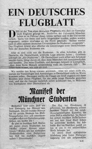 Weisse Rose - Dauer - Ausstellung, weltweit einzigartig und einmalig (Schenkung)