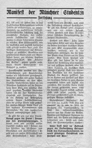 Weisse Rose - Dauer - Ausstellung, weltweit einzigartig und einmalig (Schenkung)