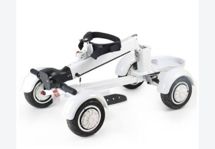 EcoRider G2 E7-1 4Wheel Foldable Golf Electric Skateboard