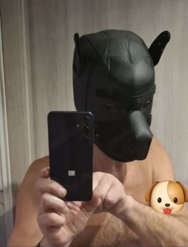 Williger Köter für sexuell Spiele.