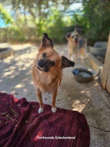 Bella
