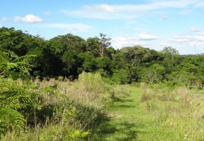 Finca mit großem Grundstück in ruhiger Lage in Sapucai / Paraguay