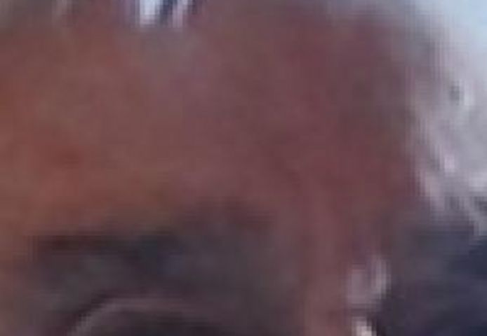 Suche willige, untervögelte Hausfrau für gelegentliche, geile Sextreffen